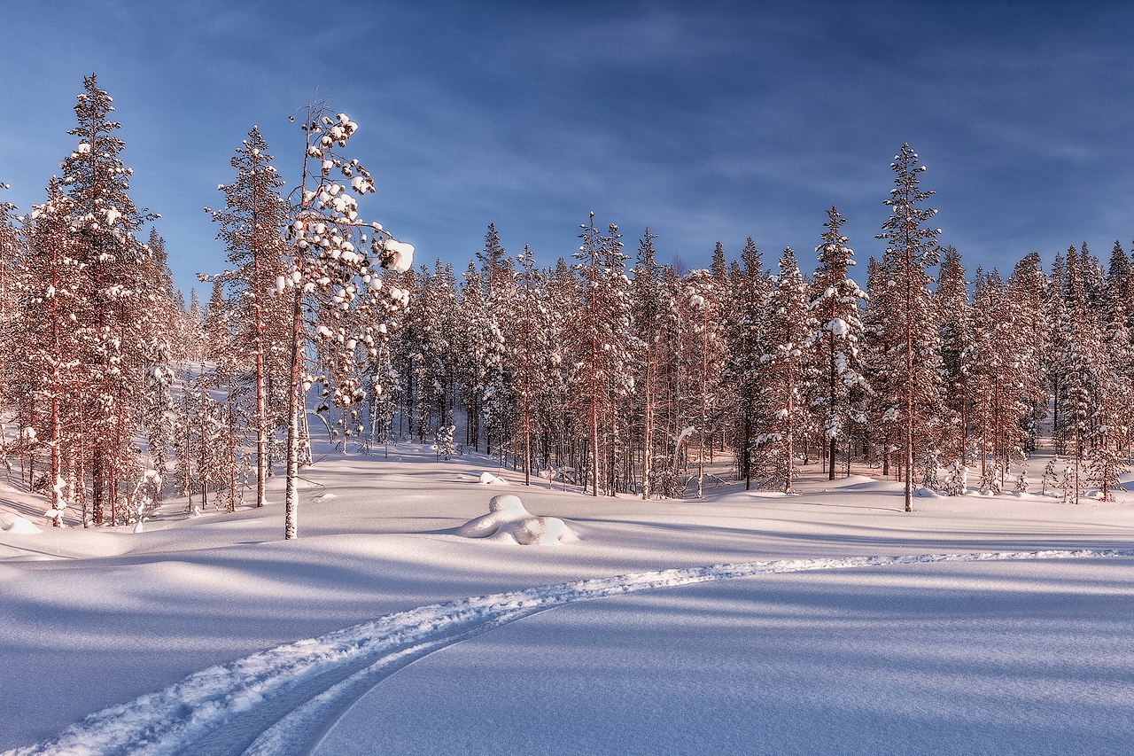 Russia North Murmansk
