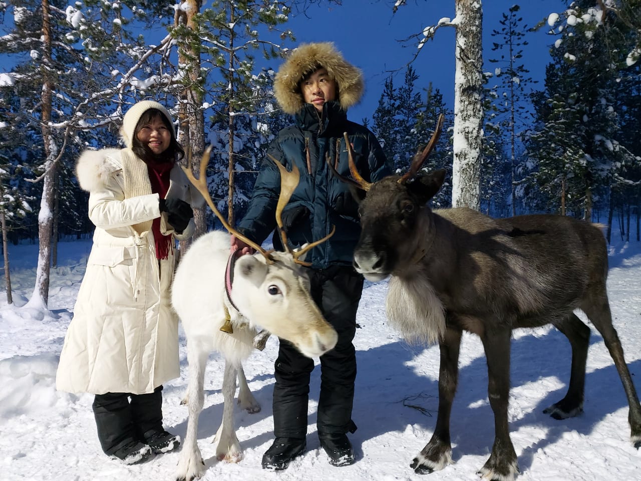 Saami Trip Murmansk