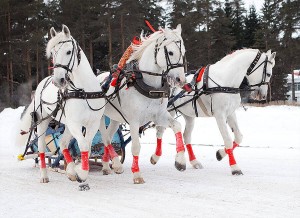 St. Petersburg f&uuml;r 3 Tage